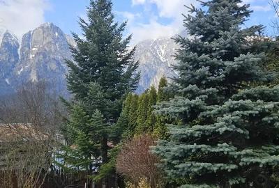 Casă cu Teren 675 Mp în Poiana - 2