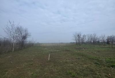 Teren Construcții intravilan de 5000 mp, în Exterior Vest - 1