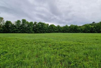 Spațiu comercial, în Central - 2
