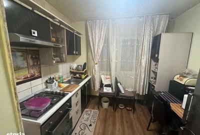 Apartament cu 2 camere semidecomandat în Banat - 1