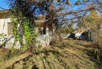 Casă cu 4 camere cu Teren 7720 Mp în Brătești - 14