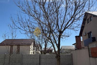 Duplex cu 4 camere cu Canalizare în Berceni - 14