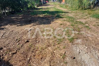 Teren intravilan 812 mp PUZ aprobat utilitati pe teren Talmaciu - 6