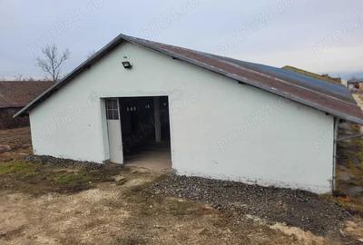 Hale de inchiriat - 1200m2 pana la 7200m2 Teiu Jud Hunedoara langa autostrada - 3