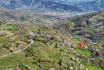 Teren de 1500 mp, în Sălciua - 1