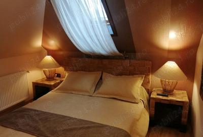 Casă cu 6 camere cu Teren 1560 Mp în Valea Doftanei