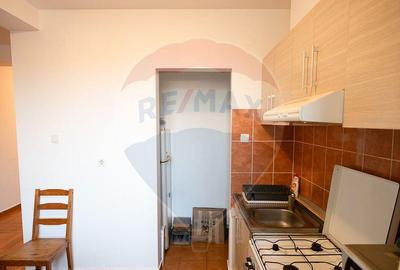 Apartament de vanzare cu 2 camere, Pia?a Nucetului, Nuf... - 12