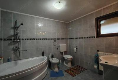 Casa superba in Saliste de Beius - 3