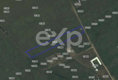 Teren în Albota - 1