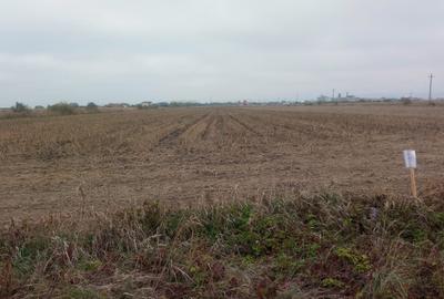 Teren de casa 500mp in Brasov Teren de casa 500mp in Brasov - 4