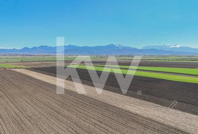 Vanzare teren extravilan agricol Halchiu 15000mp - 8