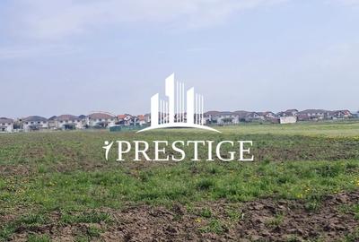 Teren agricol extravilan de 10000 mp, în Șura Mică - 2