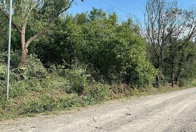 Teren de 1250 mp, în Spitalul Județean - 3