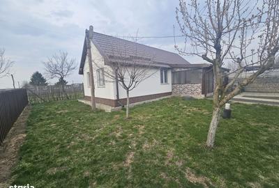 Casă cu 2 camere cu Teren 1667 Mp în Mașloc - 17