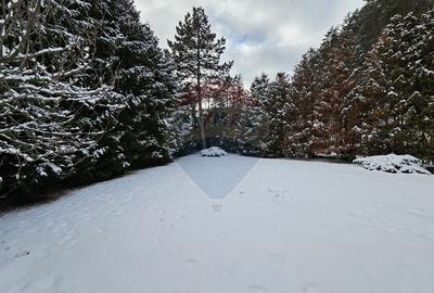 Vilă de lux cu 4 camere de vânzare în Câmpulung Moldovenesc, Suceava - 41