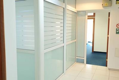 Spatiu birouri- Ion Mihalache- Ciuperca-Expozitiei - 11