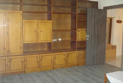Apartament cu 2 camere semidecomandat în Șagului
