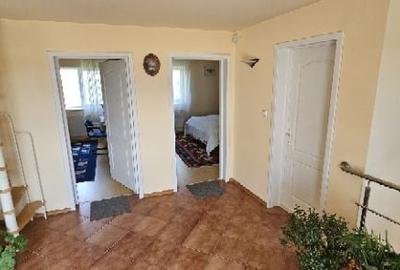 Ciopani vila 5 camere teren 4000 mp - 30