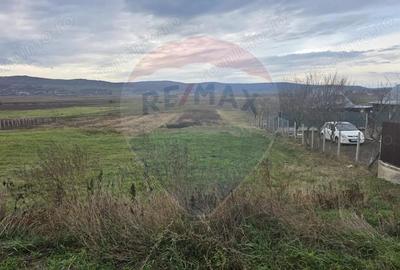 Teren intravilan si extravilan 8,282mp oras Negresti, judetul Vaslui - 5