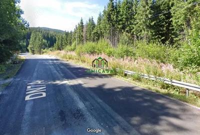 Teren /Obarsia Lotrului /DN 7A - 1