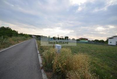 Snagov Ciofliceni - Teren 6153mp, D 25 M, Toate Utilitatile, Asfalt - 5