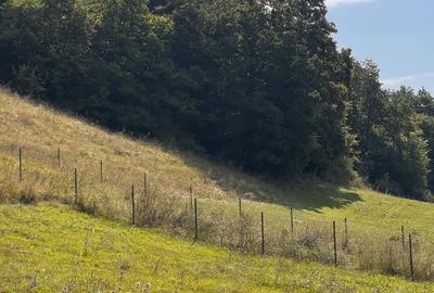 Teren de 500 mp, în Florești - 7