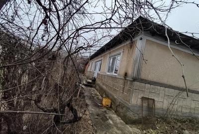 Casă cu 3 camere cu Teren 1000 Mp în Hârșova - 4