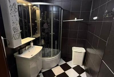 Apartament cu 2 camere, mobilat în Giulești - 8