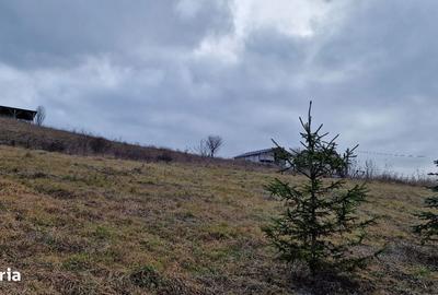 Spațiu comercial, în Sânnicoară - 4