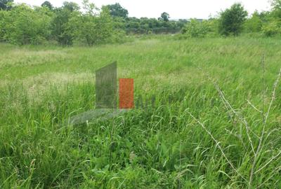 Teren în Colentina - 7