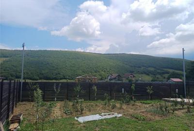 Locuinta resedinta de vacanta,zona metropolitana Brasov, Ziz - 3