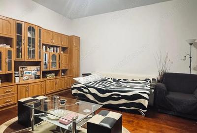 AV660 Apartament 1 camera, la curte, zona strazii Mangalia-Iosefin - 2