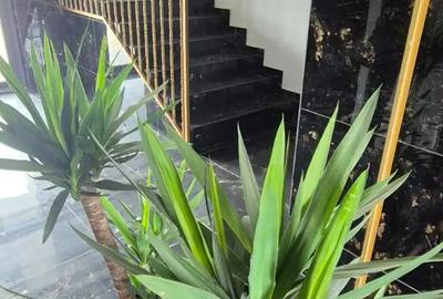 Apartament cu 2 camere semidecomandat în Titan - 14