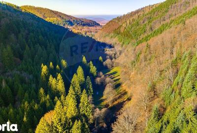 Teren de 17939 mp, în Mănești - 10