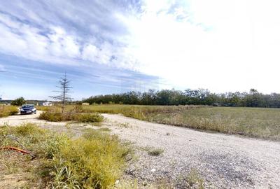 Vila De Vanzare |4 Camere| 2800mp Teren| Iesire la Padure*Tur Virtual* - 18