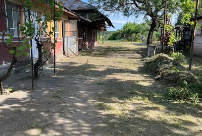 Casa de la sat - 3