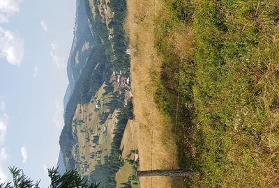 Teren Construcții extravilan de 7200 mp, în Arieșeni - 5