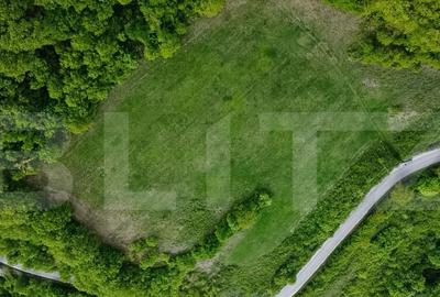 Teren superb, in mijlocul naturii, 18.360 mp, la Carji?i - 5