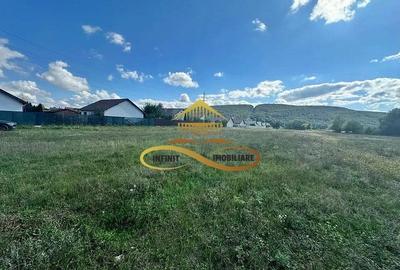 Teren intravilan de vanzare Bacau Calea Moldovei - 13