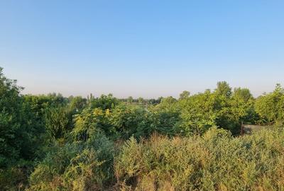 Descriere teren de vânzare – Clinceni, lângă Lacul Nicmar - 8