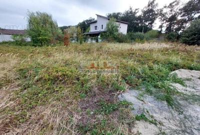 Vanzare Teren Constructie Casa Vacanta Ghermanesti Padure SNAGOV - 3