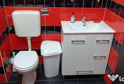 Apartament cu 2 camere decomandat în Roșu - 7
