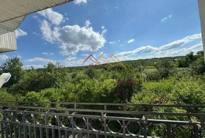 Teren intravilan 20280 mp, oportunitate investitie, Gageni, Prahova - 17