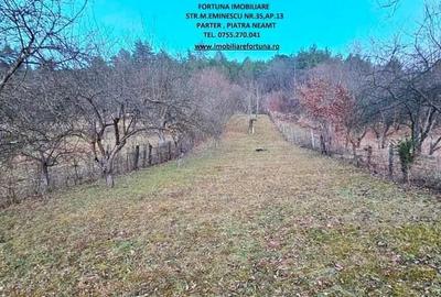 Casa+Anexa+Teren 1785 mp, la 5 minute de oras Casa+Anexa+Teren 1785 mp, la 5 minute de oras - 3