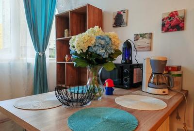 Cozy Blue Home Manastur isi cauta chirias