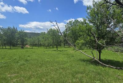 Brebu, Prahova, teren 2232mp + doua construc?ii in suprafa Brebu, Prahova, teren 2232mp + doua construc?ii in suprafa - 2