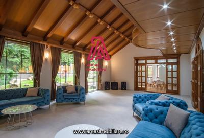 Afacere la cheie! Resedinta de lux- statiunea Paltinis! - 4