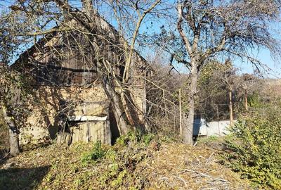 Casă cu 4 camere cu Teren 20024 Mp în Suplac - 1