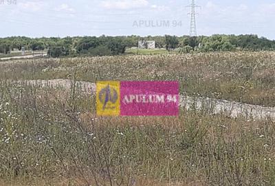 Teren de 715 mp, în Snagov - 17