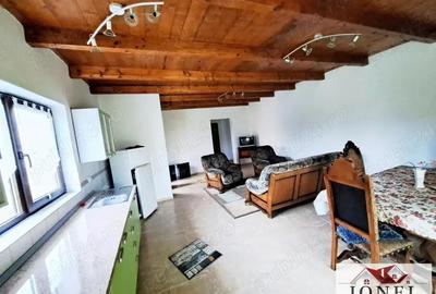 Casa noua de vanzare in Galda de jos - Benic - 1
